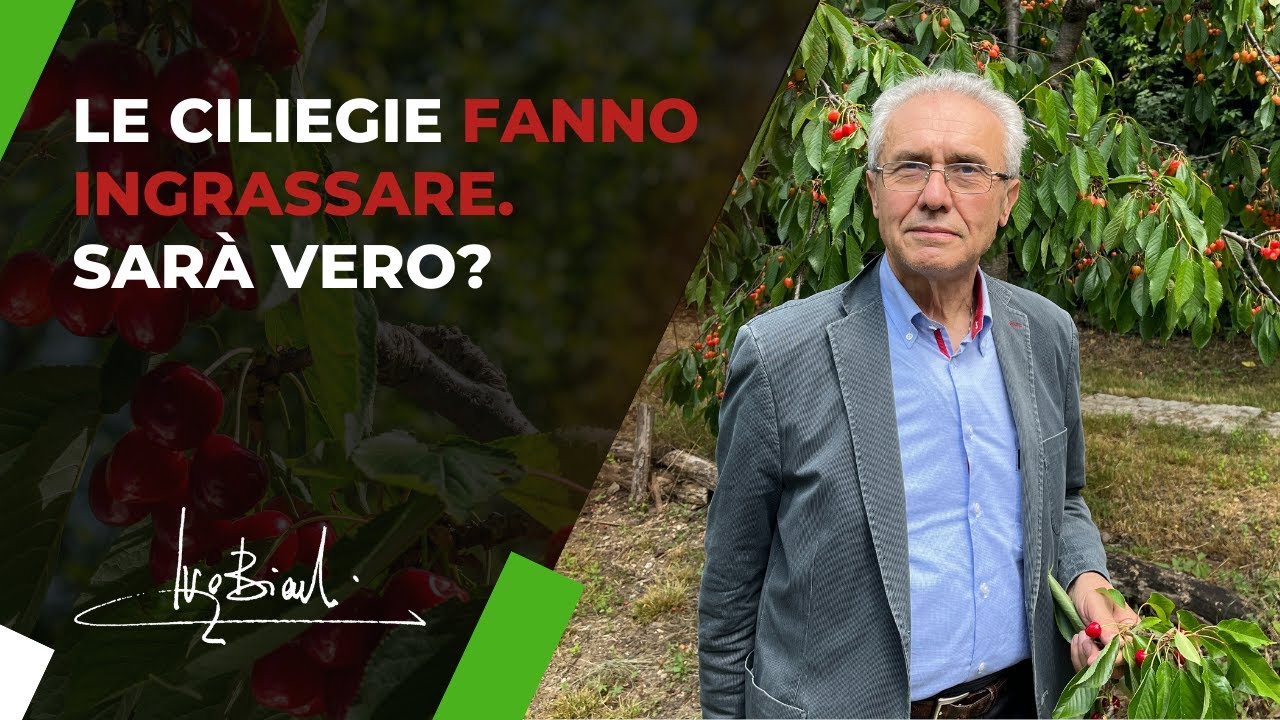 Quello che devi sapere sulle CILIEGIE
