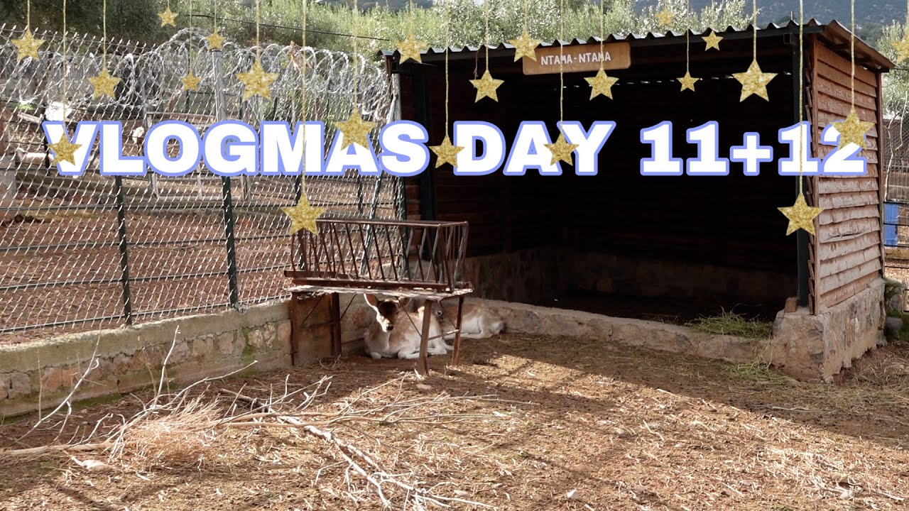 Vlogmas Day 11 +12 | 'Εμεινα σε φάρμα | Aphrodite's