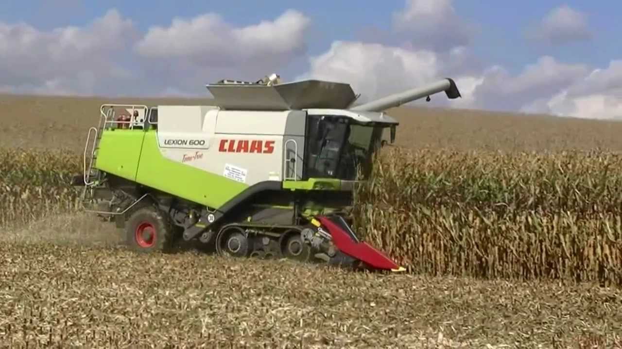 maisdrusch 2012