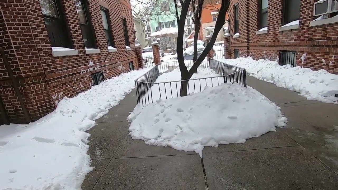 A Day in the Life of a Senior Citizen in New York City - SNOW STORM!!!!