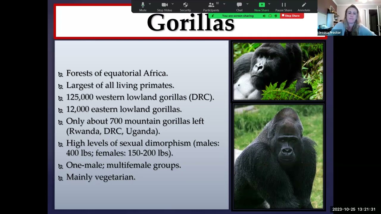 Primate Classification Lecture (Part 2)