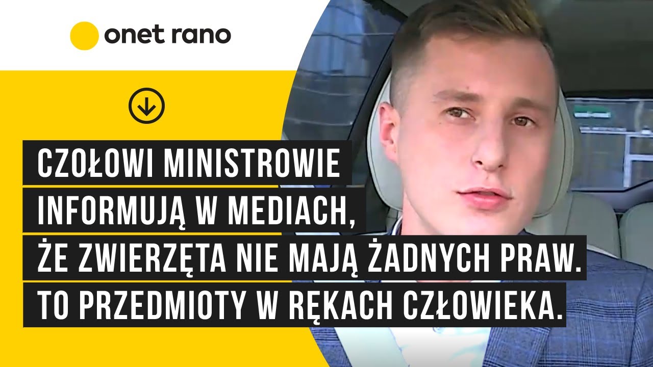 Rok od piątki dla zwierząt. 