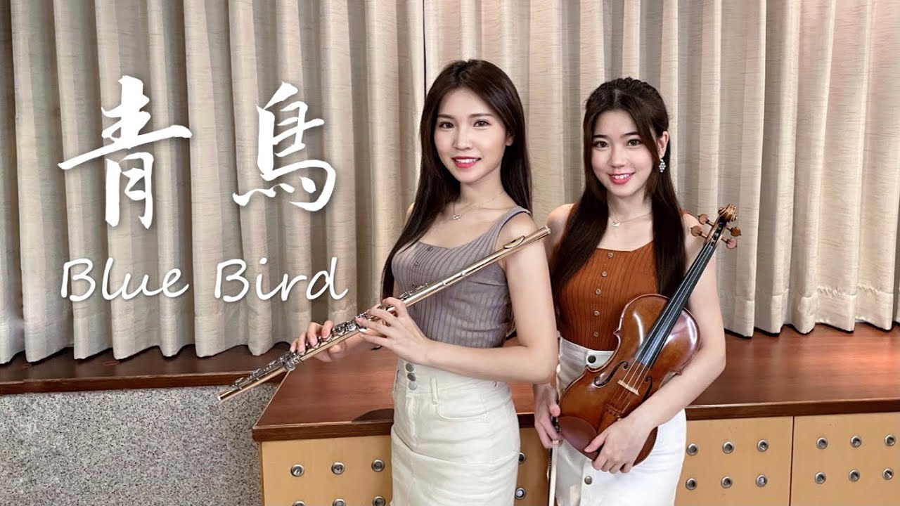 火影忍者《 青鳥 Blue Bird 》小提琴＆長笛版本｜cover by 長笛琴人