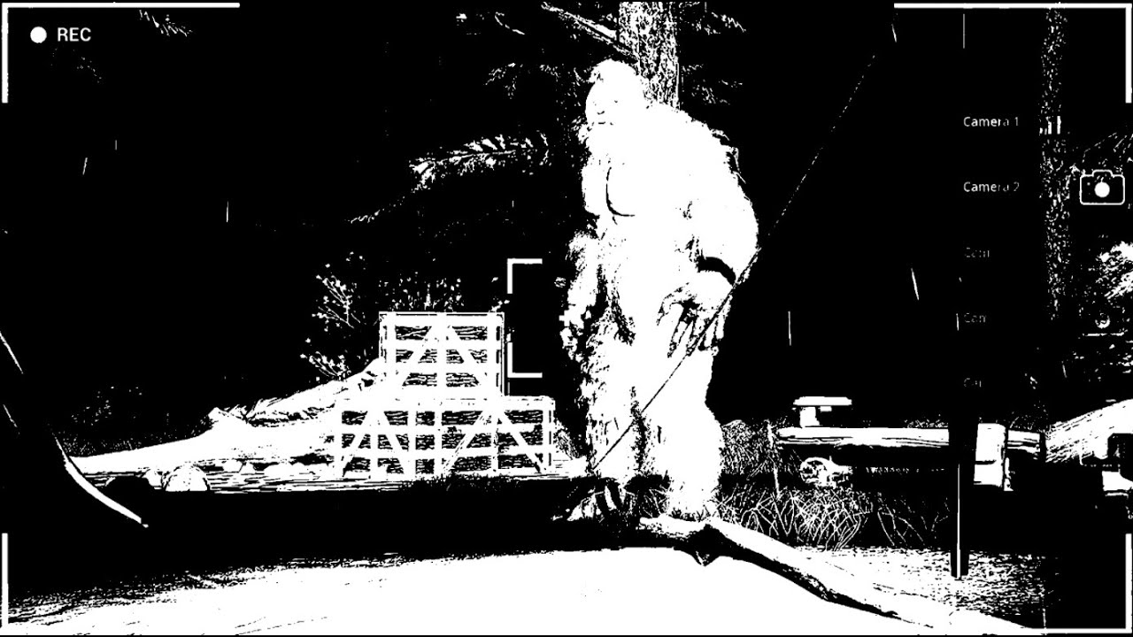 getting hunted at 5am