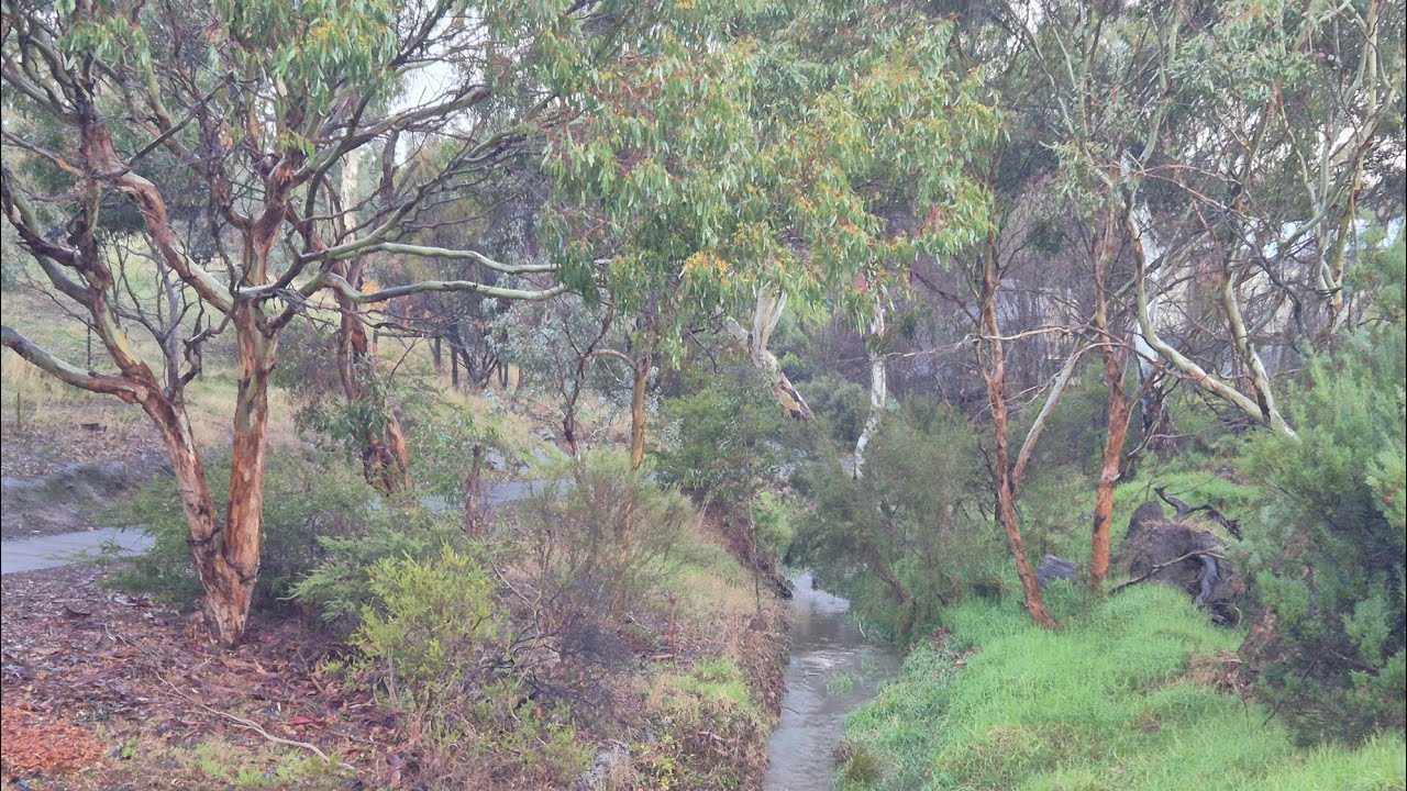 Soil, compost & worms.....closing the permaculture loop @TheFFOz #garden #soil #compost