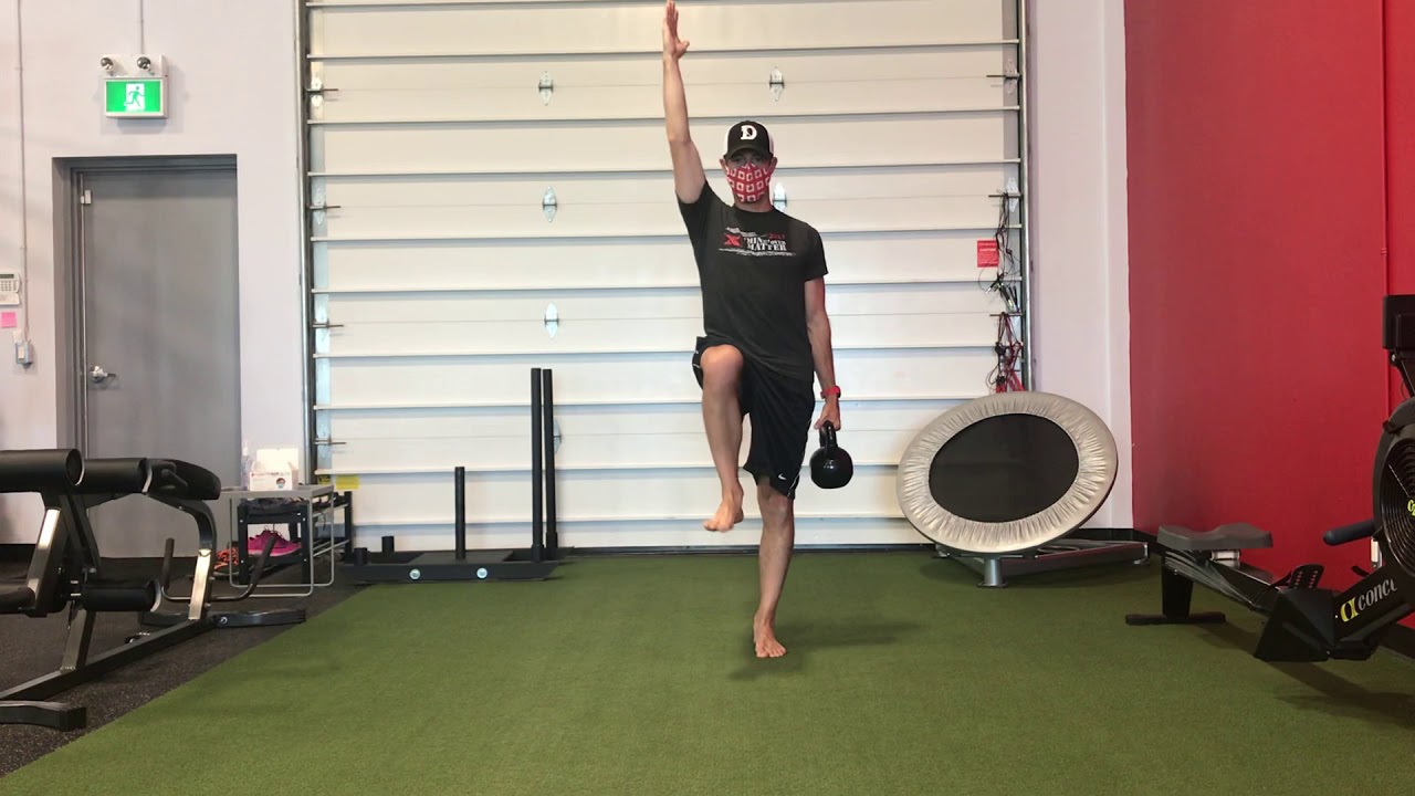 Vertical Bird Dog