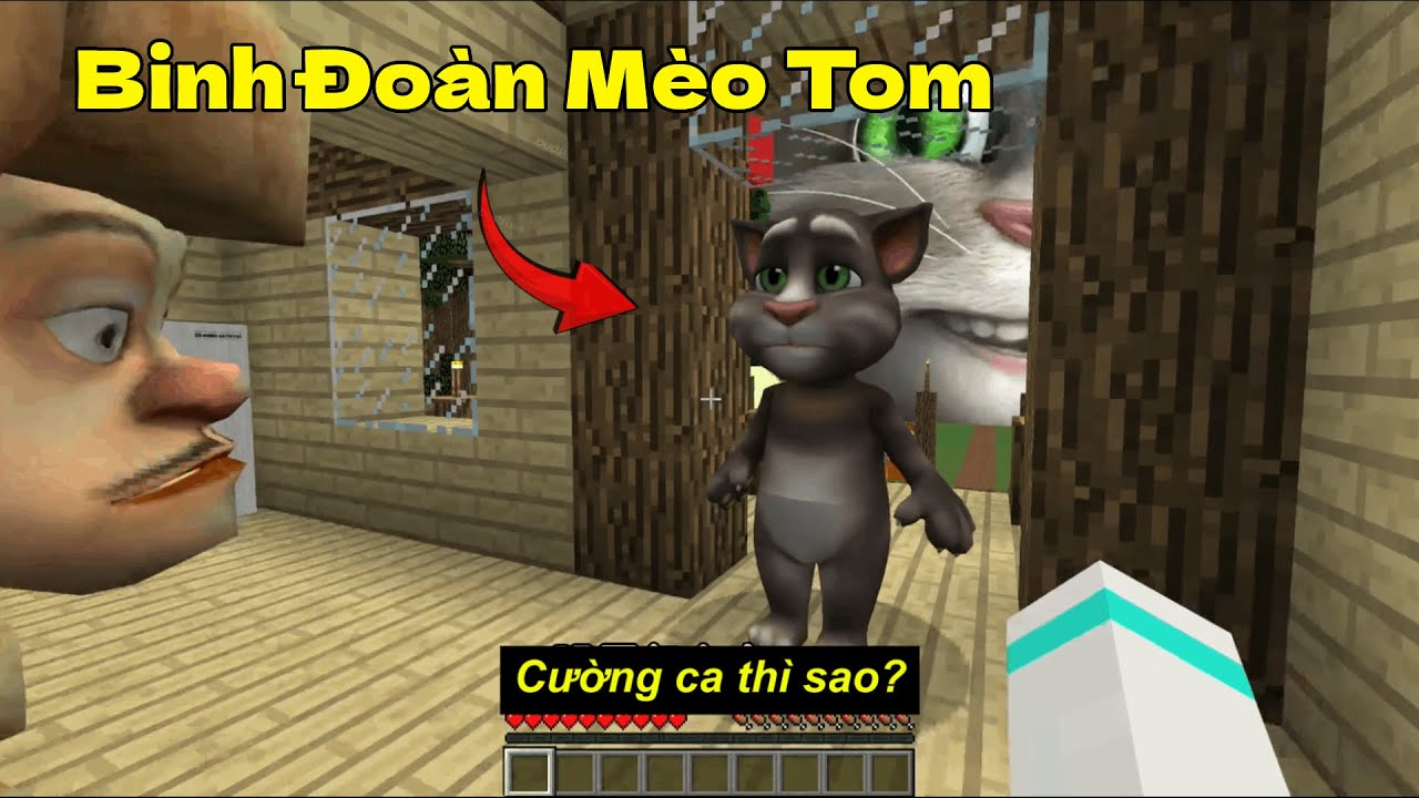 Binh Đoàn Mèo Tom Tấn Công Gã Đầu Trọc Bất Ổn