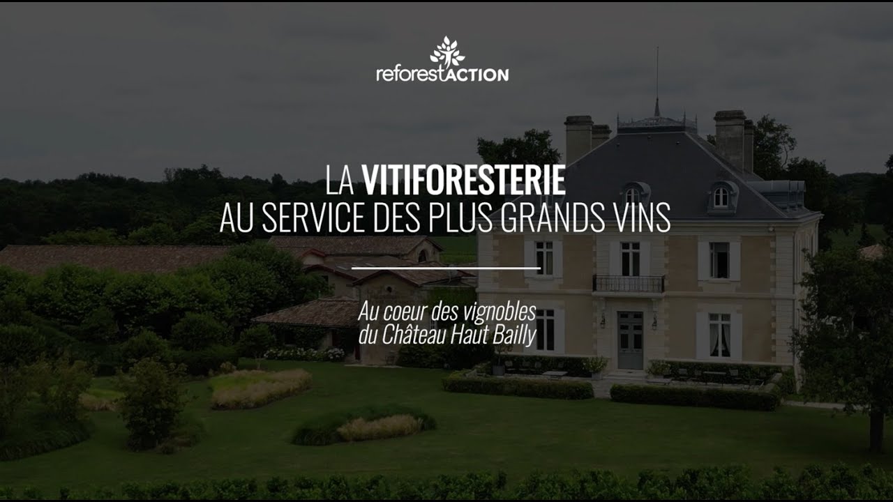 La vitiforesterie au service des plus grands vins