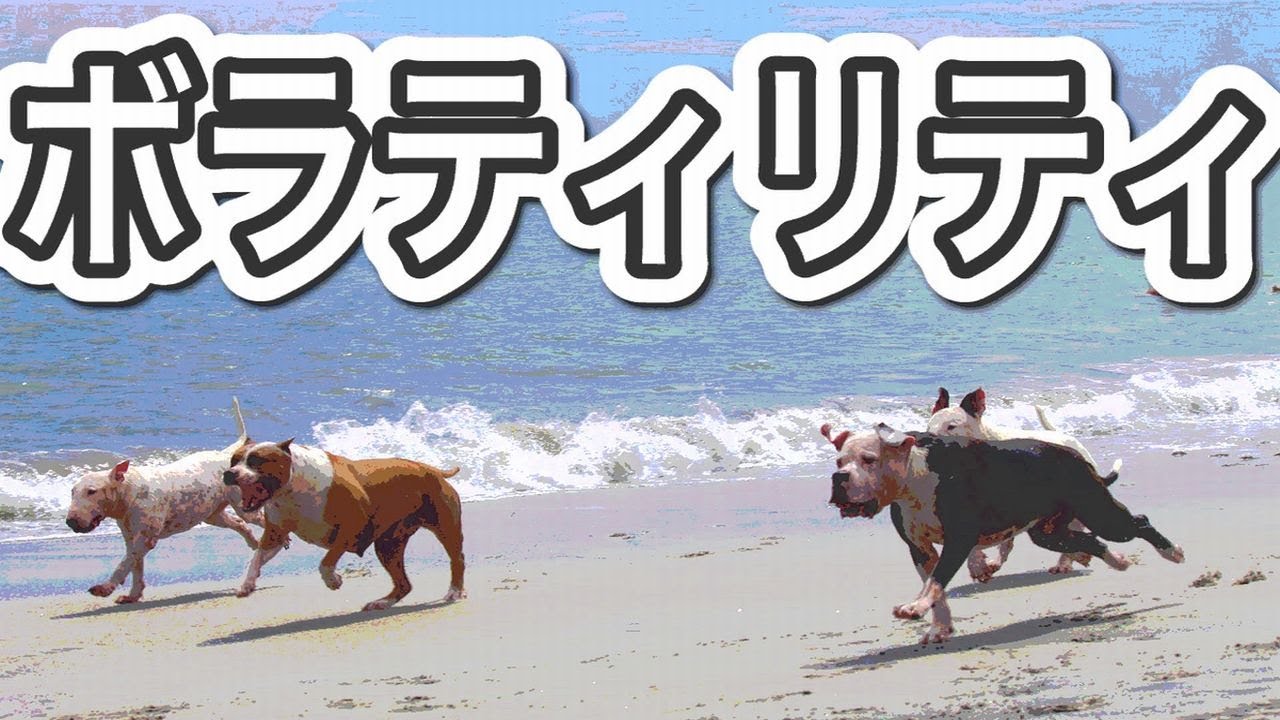 ボラティリティとは何か？わかりやすく解説