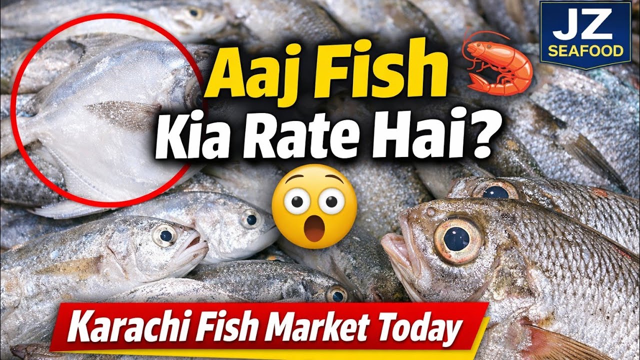 Today Karachi Fish Market Rate Update 🐟🦐 | White Paplet | Prawns | Mushka | Lady Fish | Red Snapper