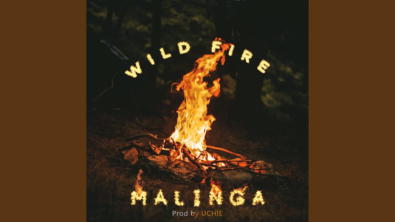 Wild Fire (Freestyle)