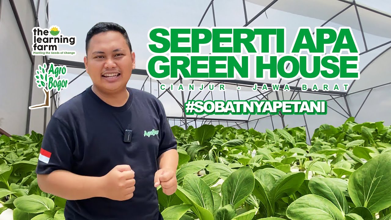 Seru nya Berkunjung Ke The Learning Farm Sobatnya Petani