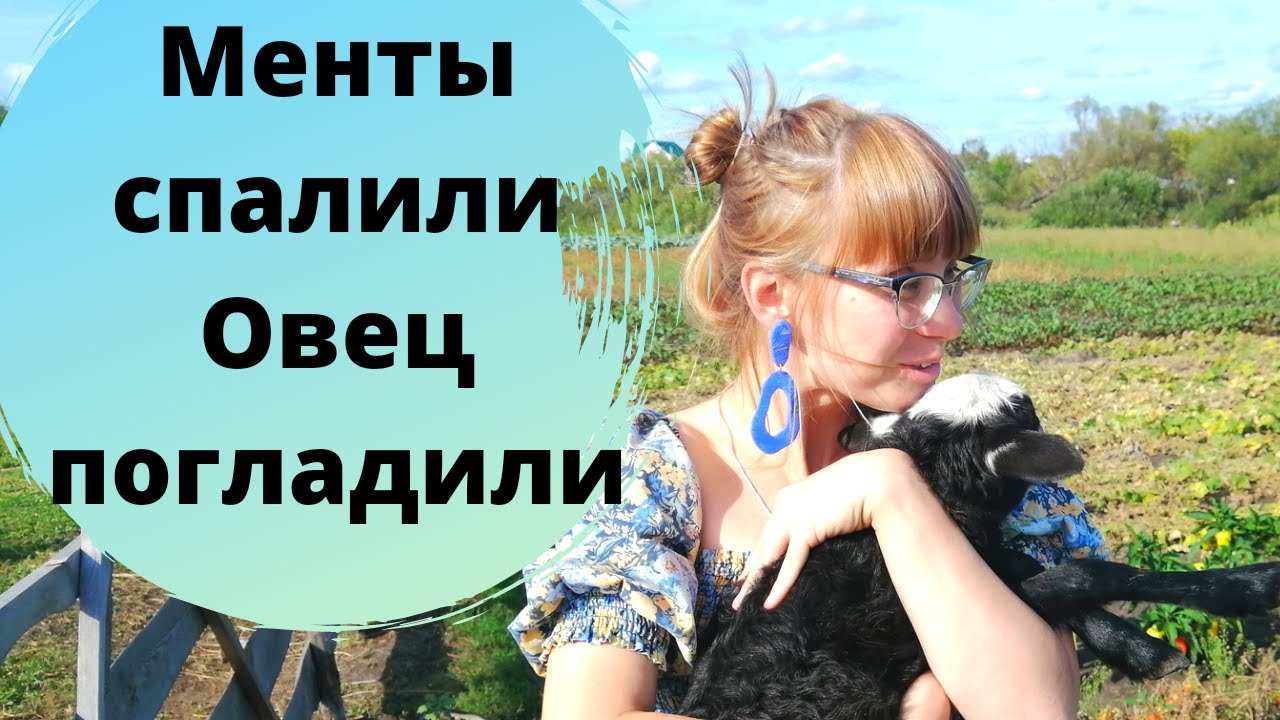 Путешествие в Калмыкию на Машине с Детьми Ч1. Козельск - Тула - Новомосковск - Михайлов - Тамбов
