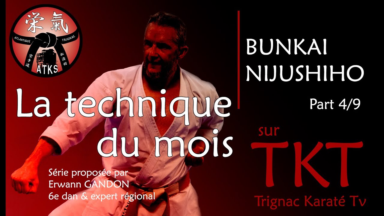 LA TECHNIQUE DU MOIS / BUNKAI NIJUSHIHO - Partie 4/9
