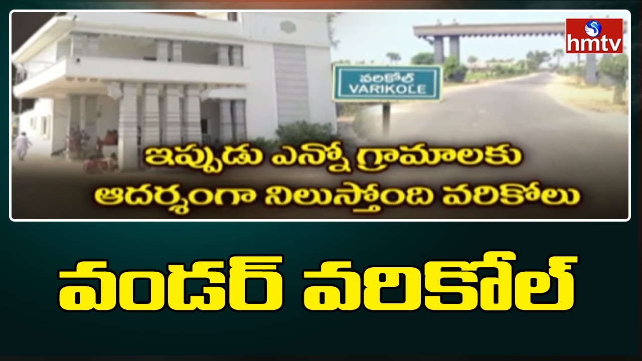 వండర్ వరికోల్ | Special Story about Varikole Village Warangal Dist | hmtv