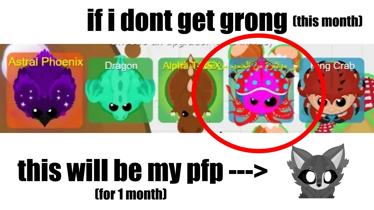 Month of March is getting dangerously close... / chcknggts stream 79 (roams.io)