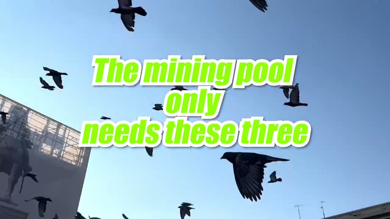 The mining pool only needs these three #pool #miningpool #ltcpool #howtomine