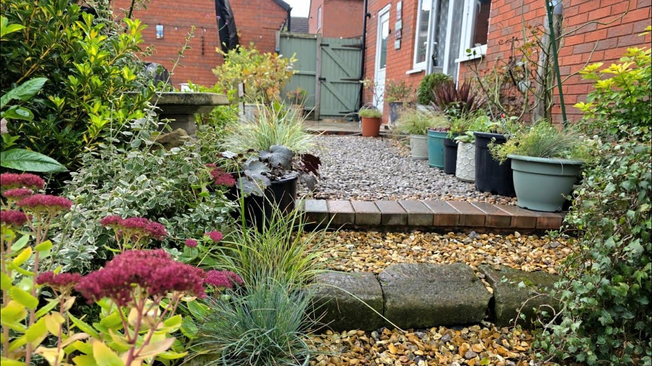 How to get free garden plants by dividing plants in early Spring or in Autumn, budget friendly