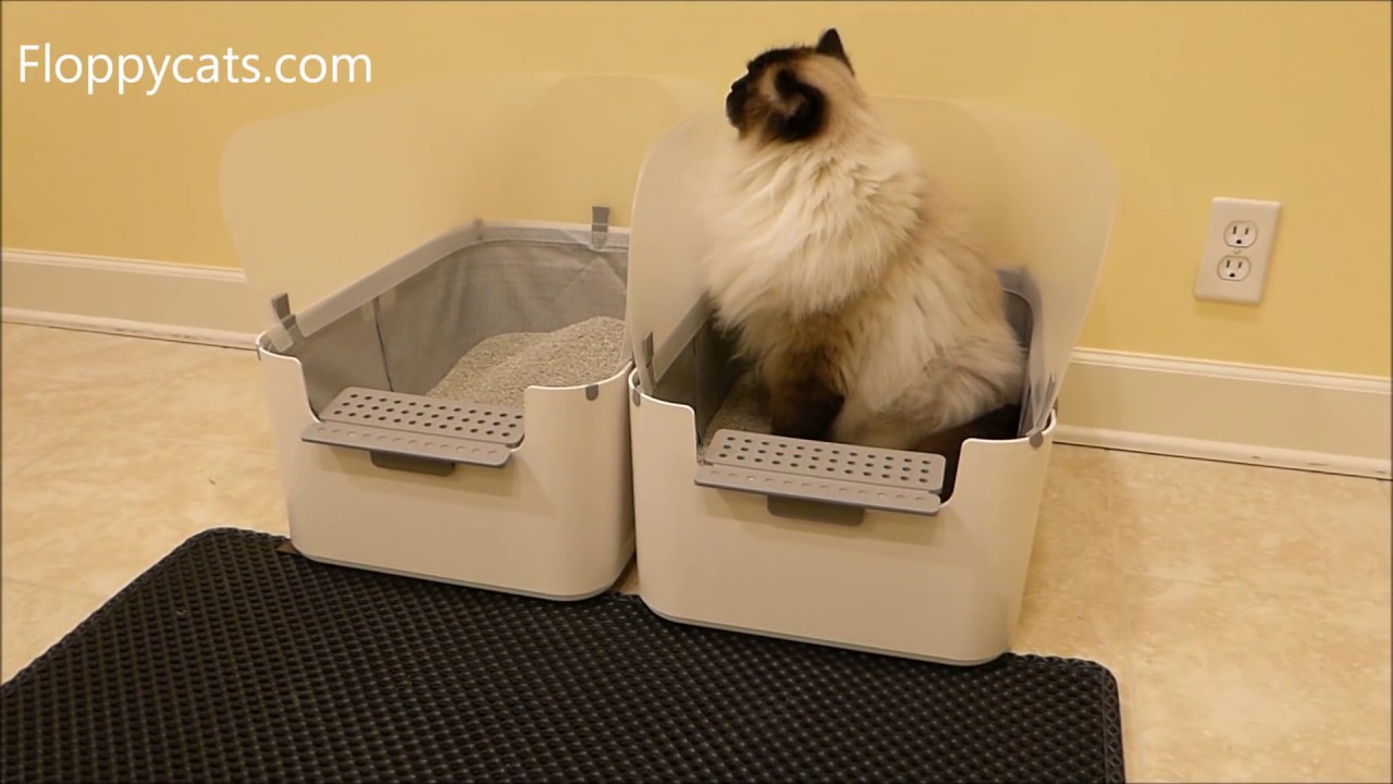 Blackhole Litter Mat XL Product Review Video - Large Cat Litter Trapper Mat