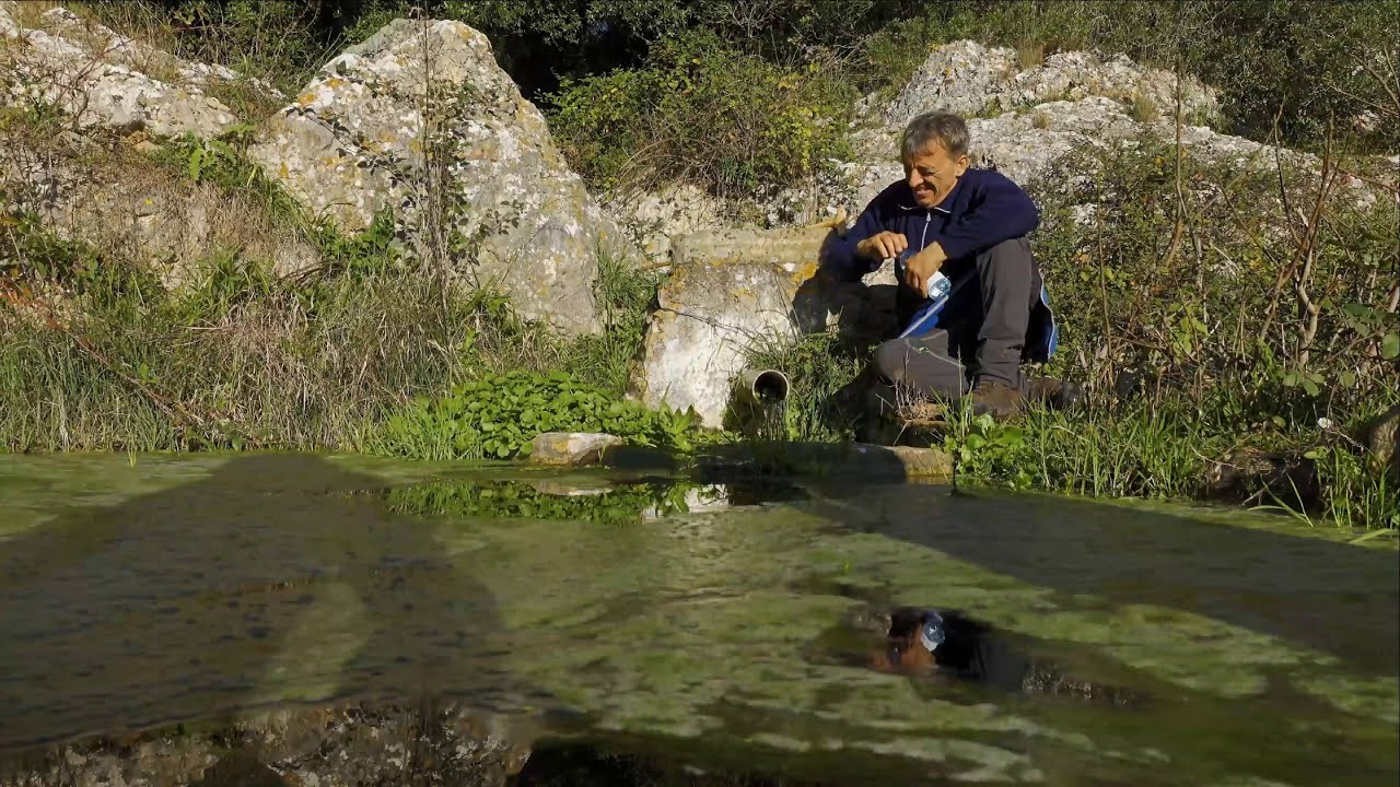 Ischitella - Rodi Garganico - Il verde circolare lungo i sentieri d'acqua e i giardini di agrumi