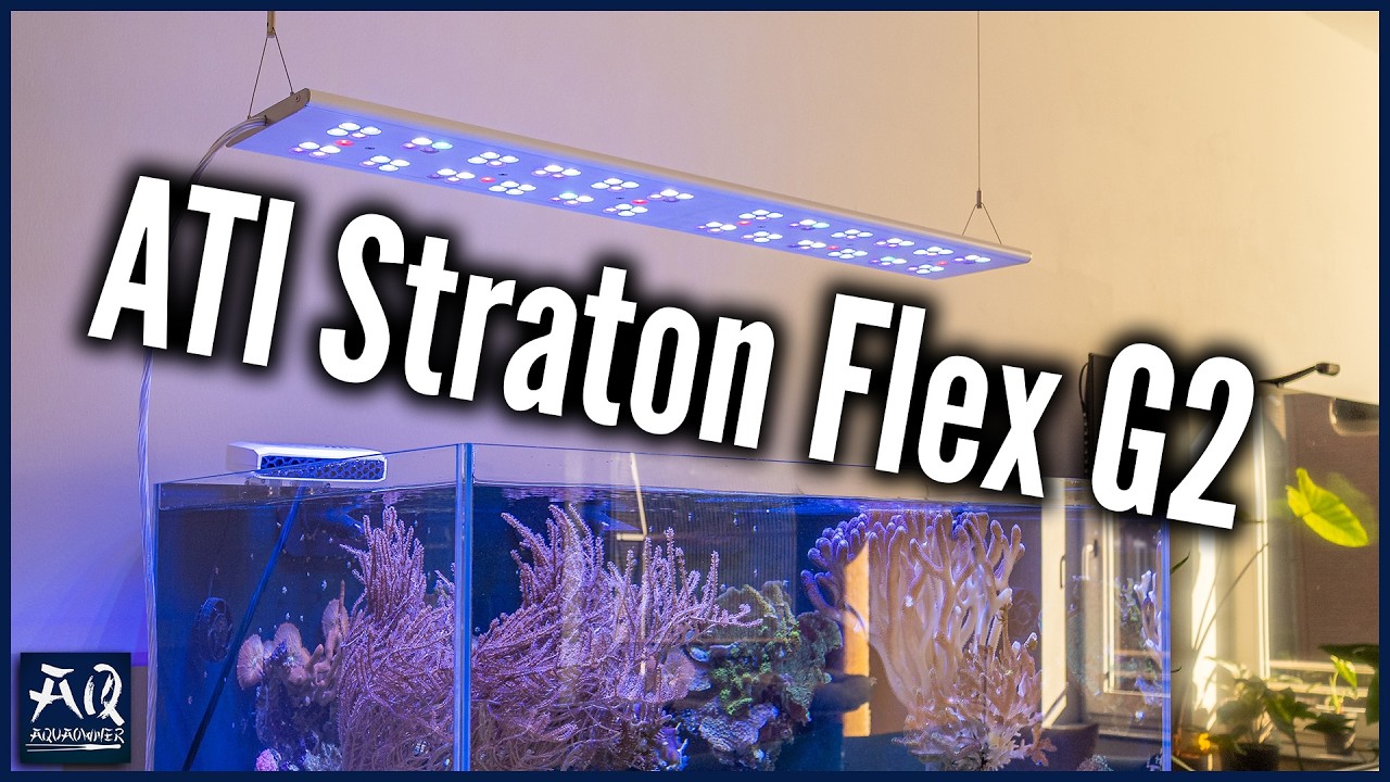 Neues Licht für mein Meerwasseraquarium (