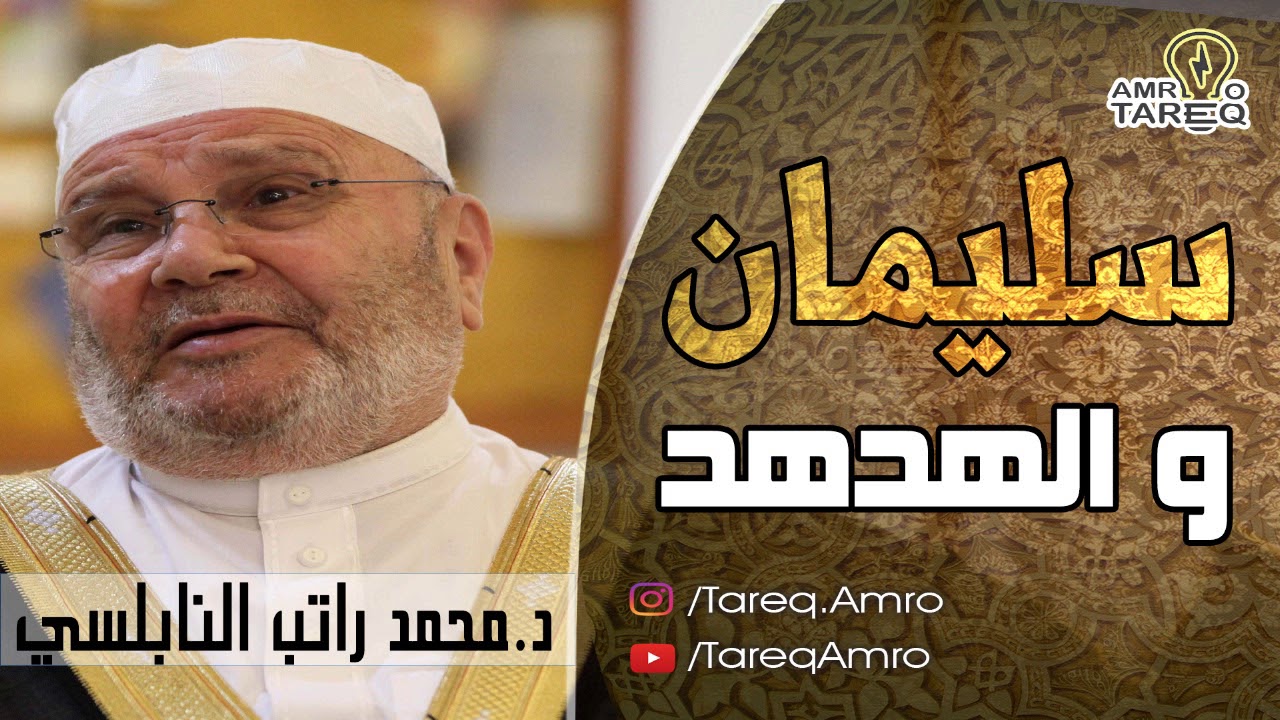 قصة سليمان عليه السلام والهدهد \\ الدكتور محمد راتب النابلسي