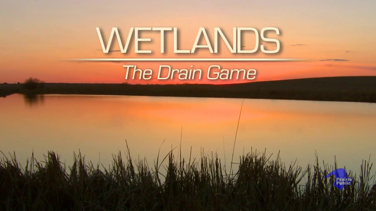 Wetlands: The Drain Game