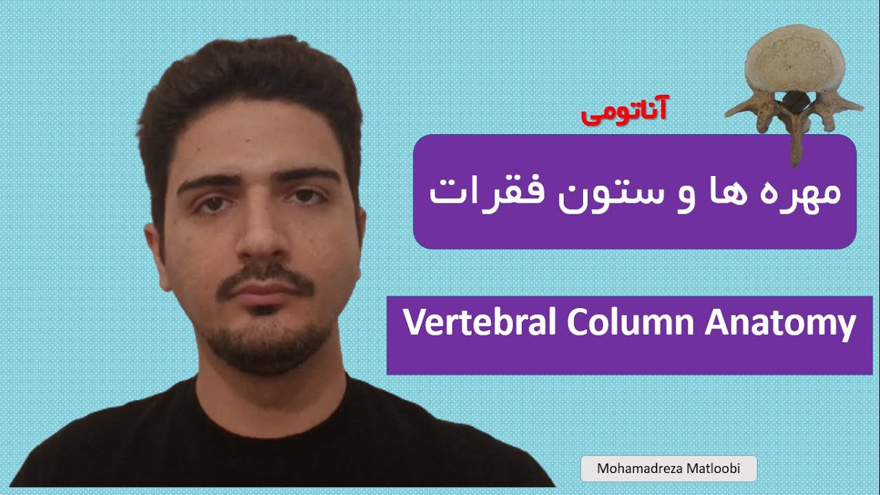 آناتومی پزشکی: بررسی ستون فقرات و مهره ها | Vertebral Column Anatomy | محمدرضا مطلوبی