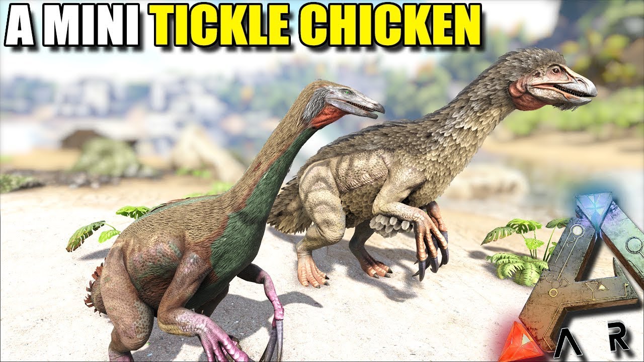 TAMING A MINI TICKLE CHICKEN | STEAMPUNK | ARK SURVIVAL EVOLVED EP10