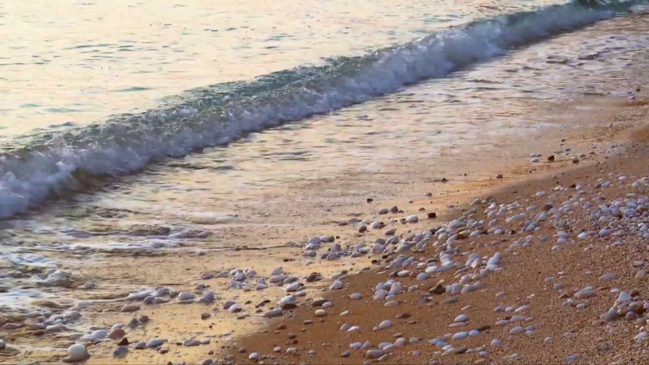 Riviera del Conero WebTv - Promo