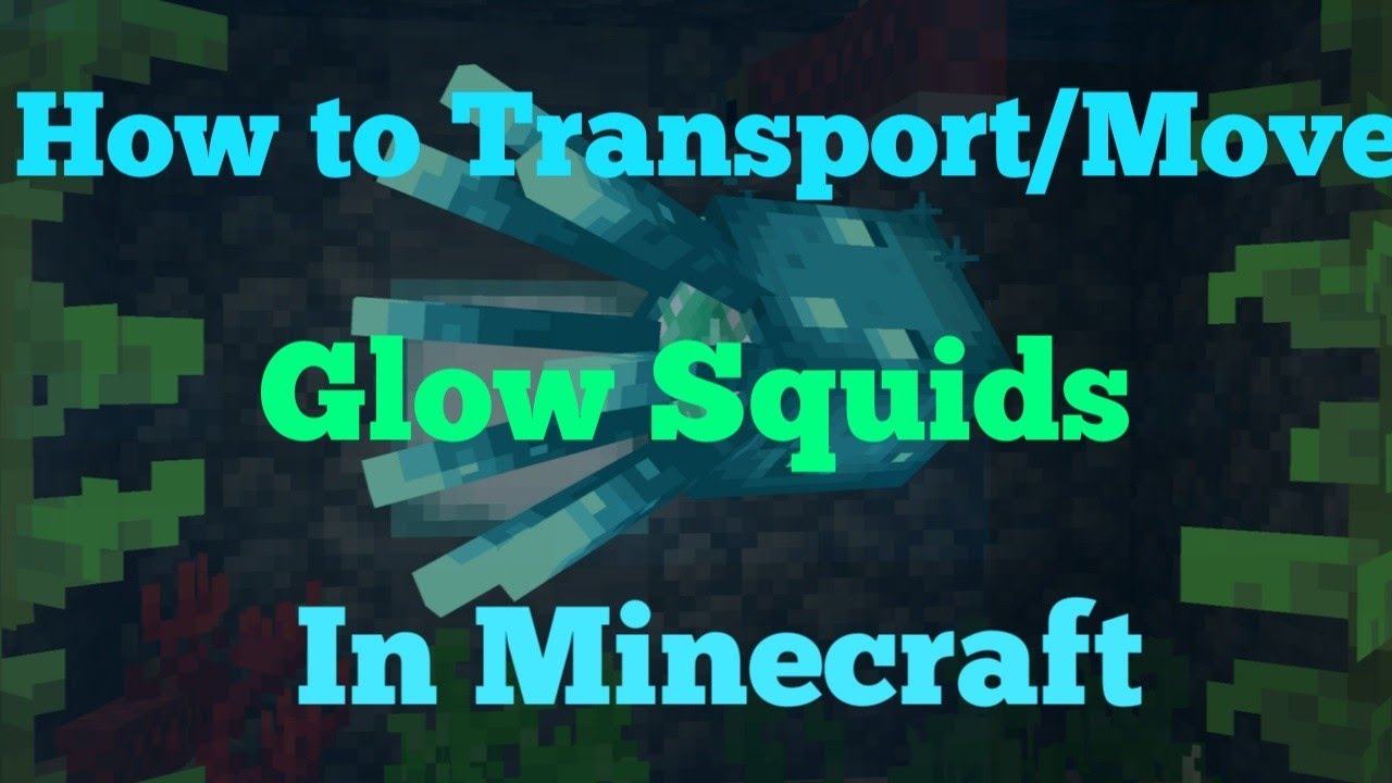 How to Transport/Move Glow Squids (Minecraft Guide)