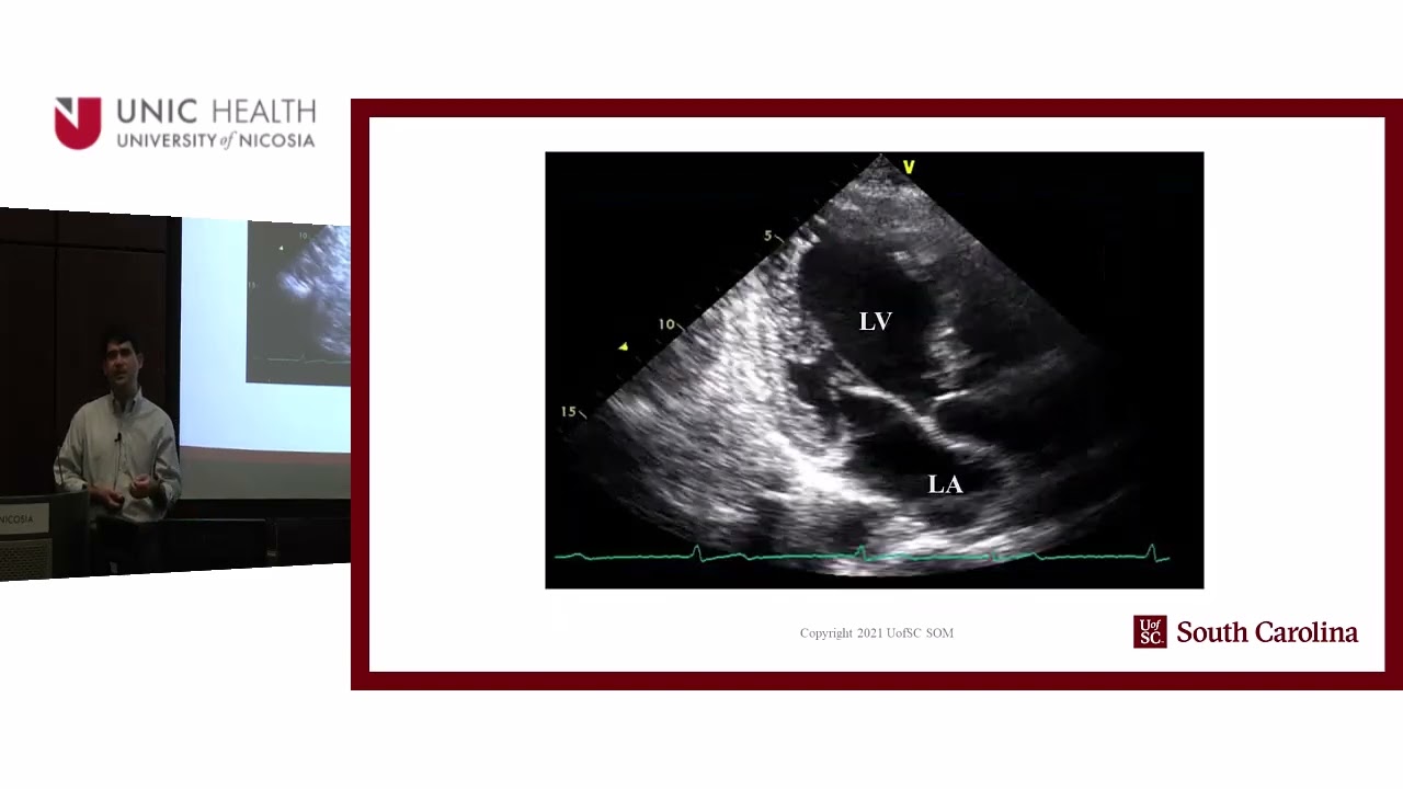Updates in Clinical Point-of-care Ultrasound