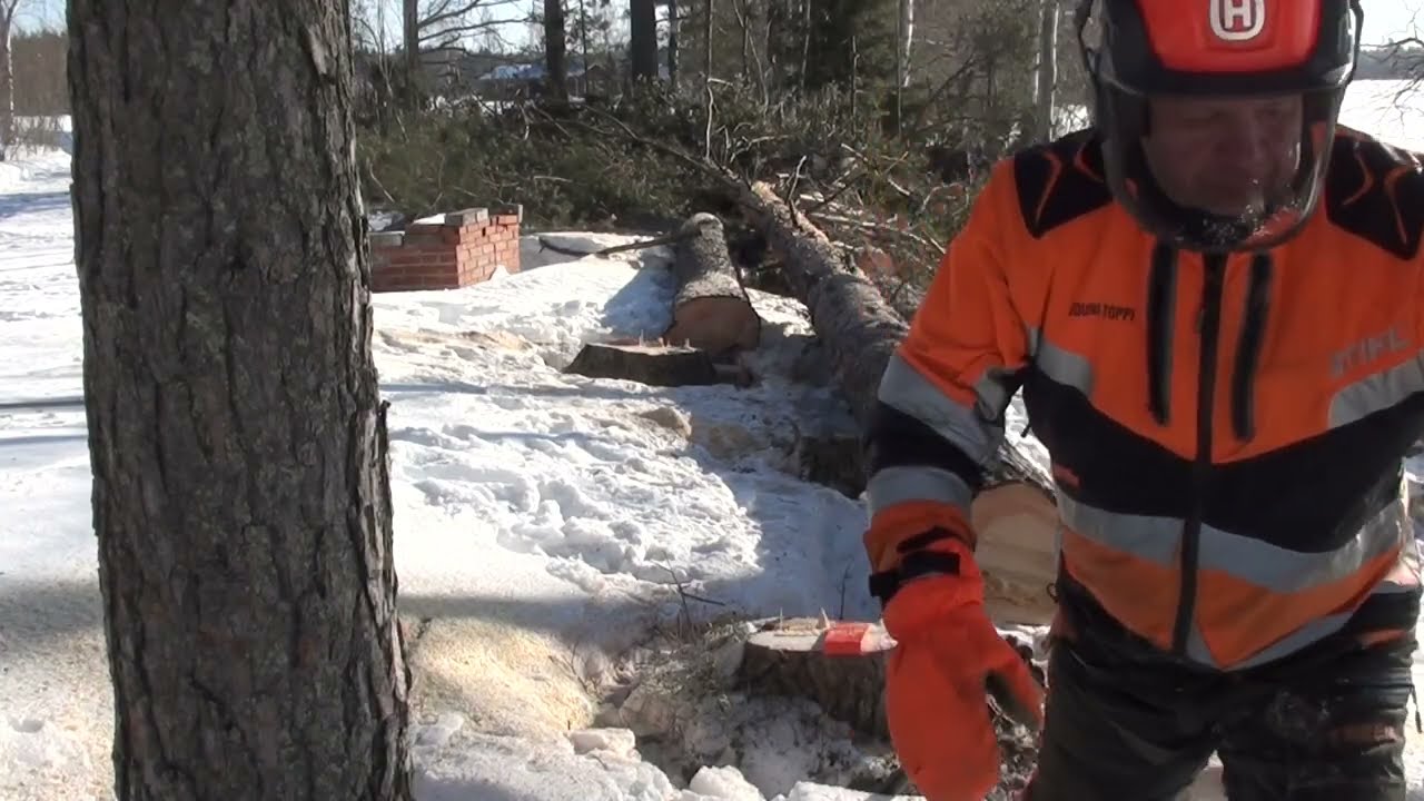 Hullu töitä tekee, viisas pääsee vähemmällä?