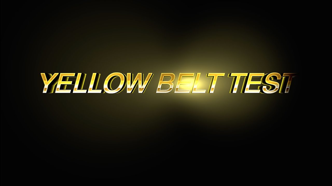 Krav Maga Unyted Yellow Belt Test