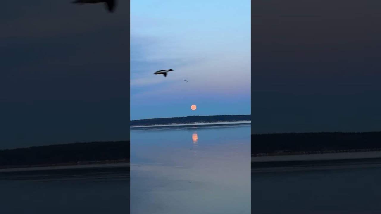 Mr. iös überträgt einen Livestream.