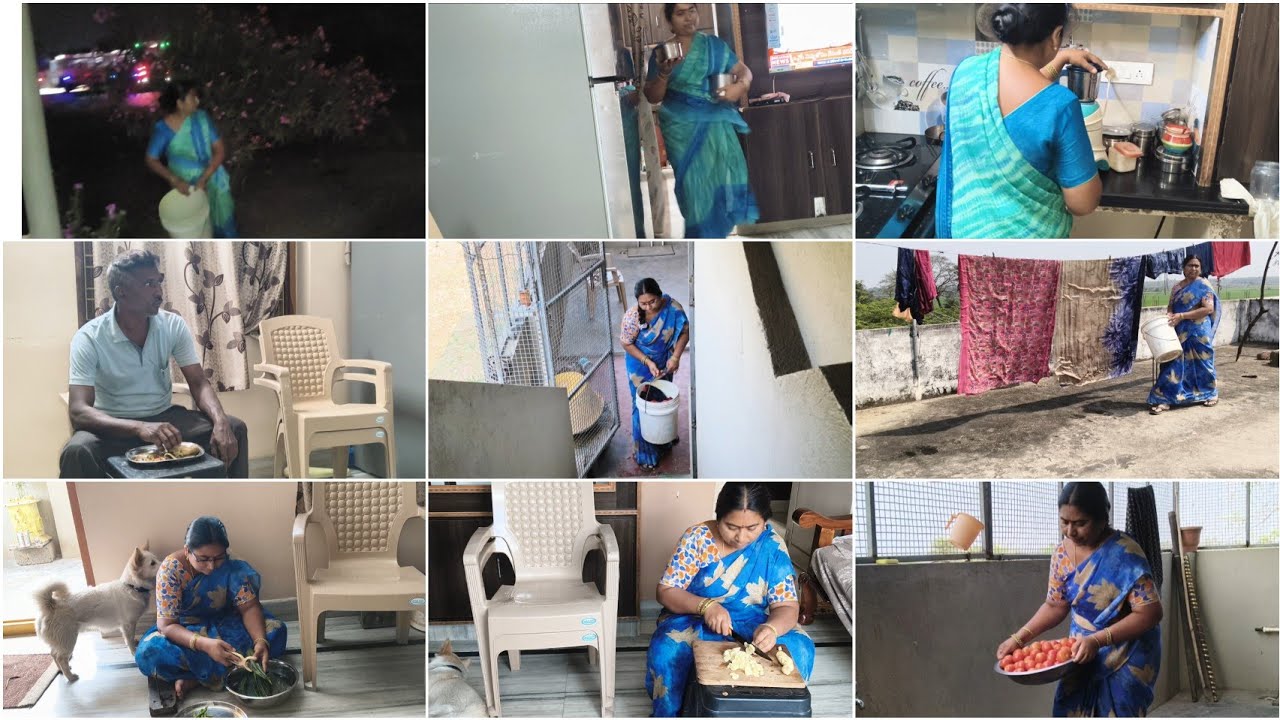 మామిడి అల్లం పచ్చడి😋శనగపప్పు బీరకాయ కూర🐕పాపం లియోగాడి దొంగ ఫ్రెండ్ కి🐅యాక్సిడెంట్ అయింది