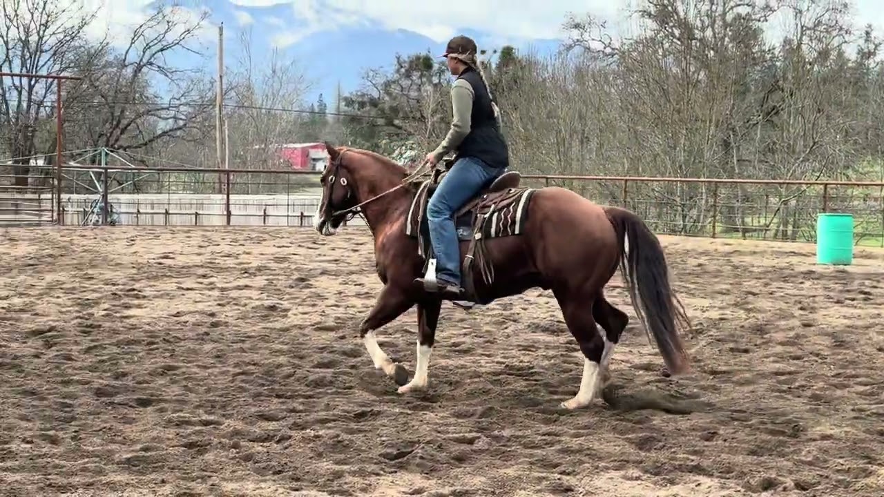 Waylon