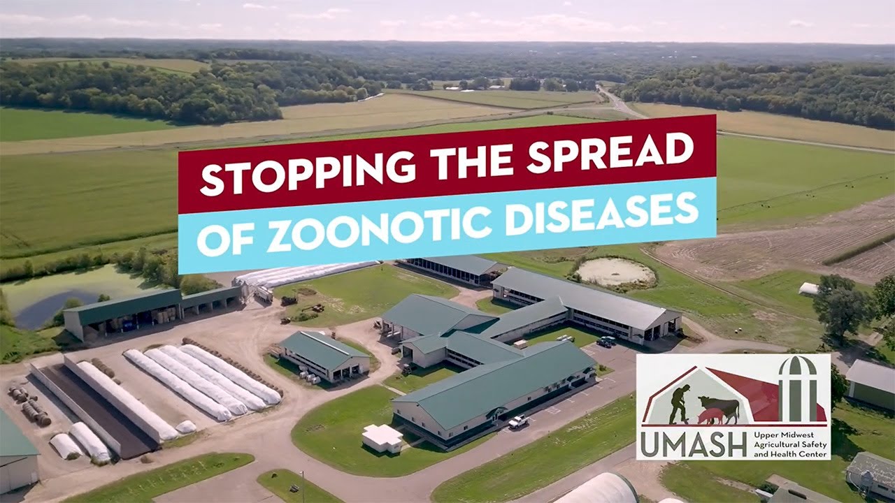Caution with Calves: Stopping the Spread of Zoonotic Diseases