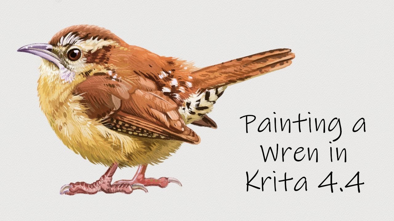 Bird Week: Painting a Wren in Krita