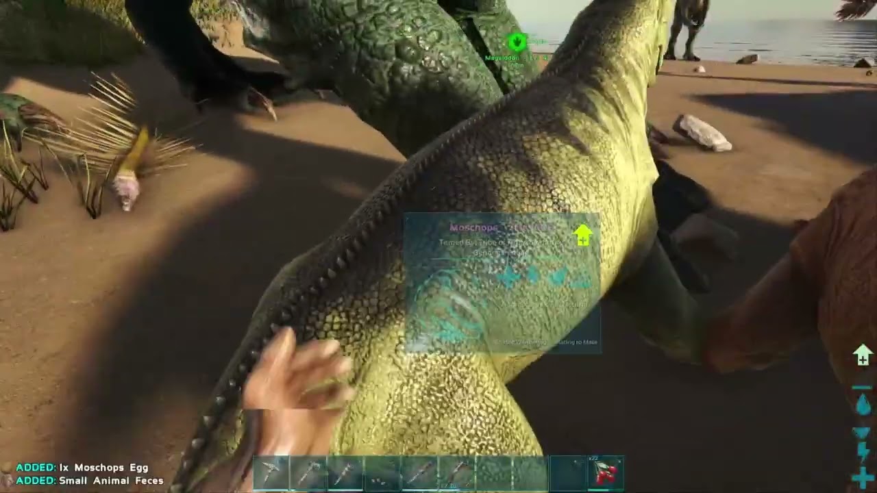 TAMING A MEGALADON PT 2!!!! - Ep 9