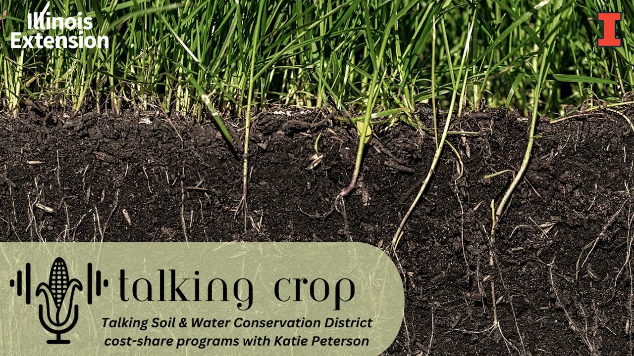 Talking Soil and Water Conservation District cost-share programs with Katie Peterson | Talking Crop