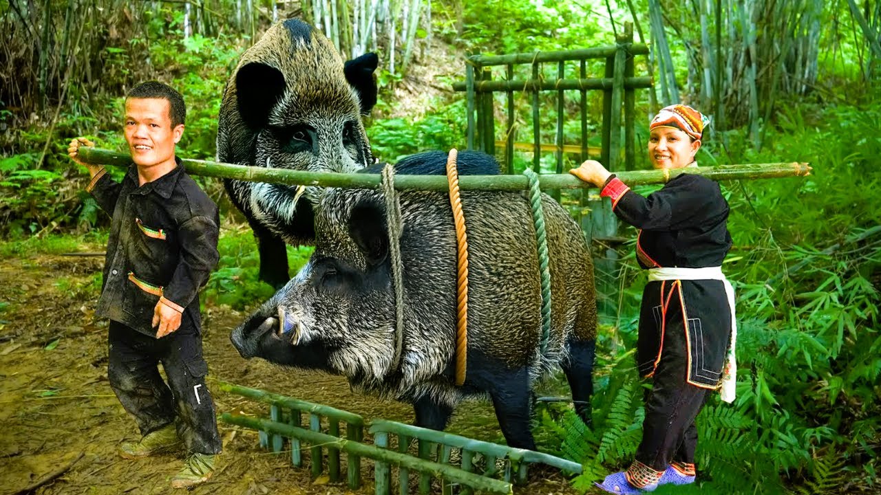 Breaking Into Wild Boar's Den - How the Dwarf Family Built a Wild Boar Trap by Hand