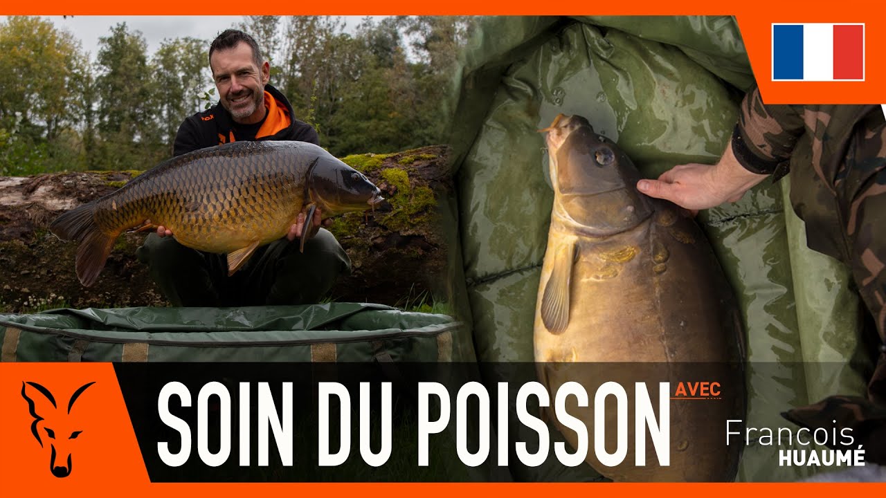 LE MATERIEL ESSENTIEL - Avec François Huaumé | Pêche à la Carpe FOX TV