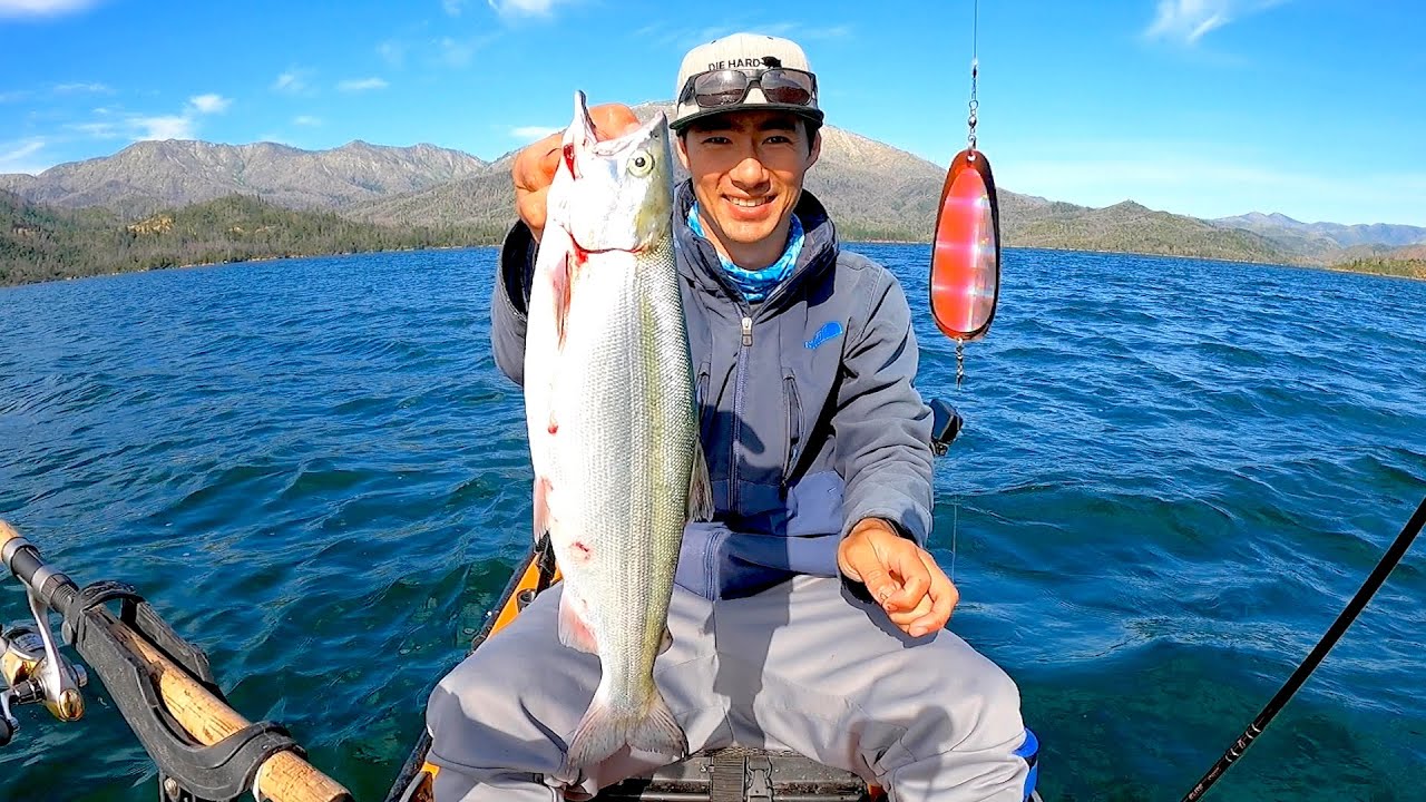 BIGGEST KOKANEE SALMON I have Ever Seen!!! (New PB)