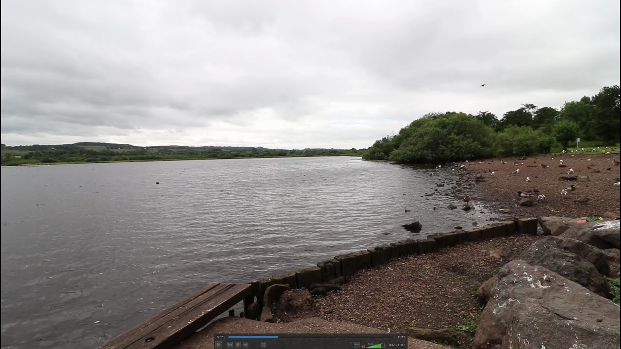 Moody cloudy day walk at Castle Semple loch