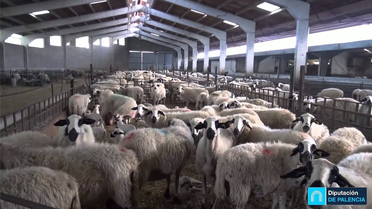 Factor&iacute;as Visitables: Quesos Campos G&oacute;ticos