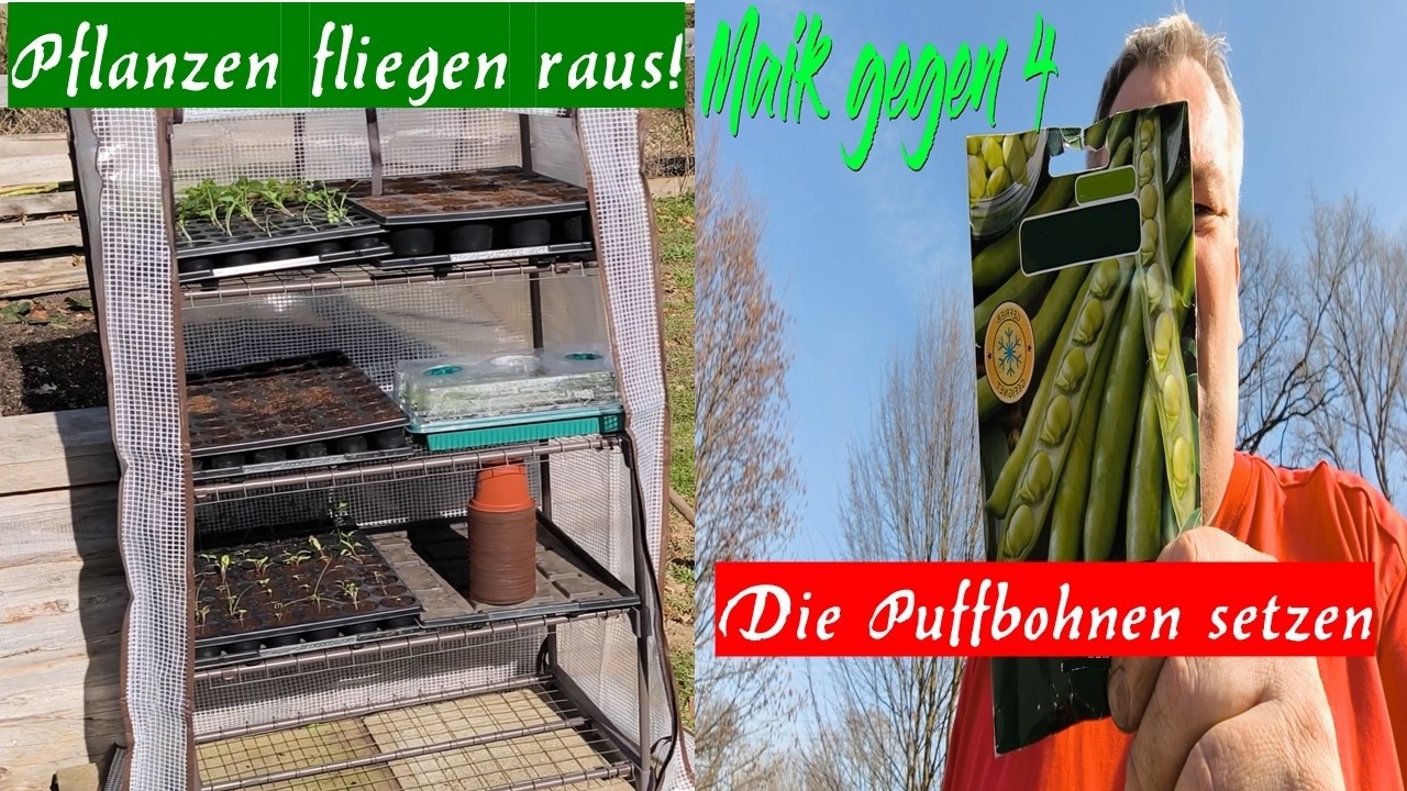 Jetzt wird eng und darum fliegen jetzt Pflanzen raus!
