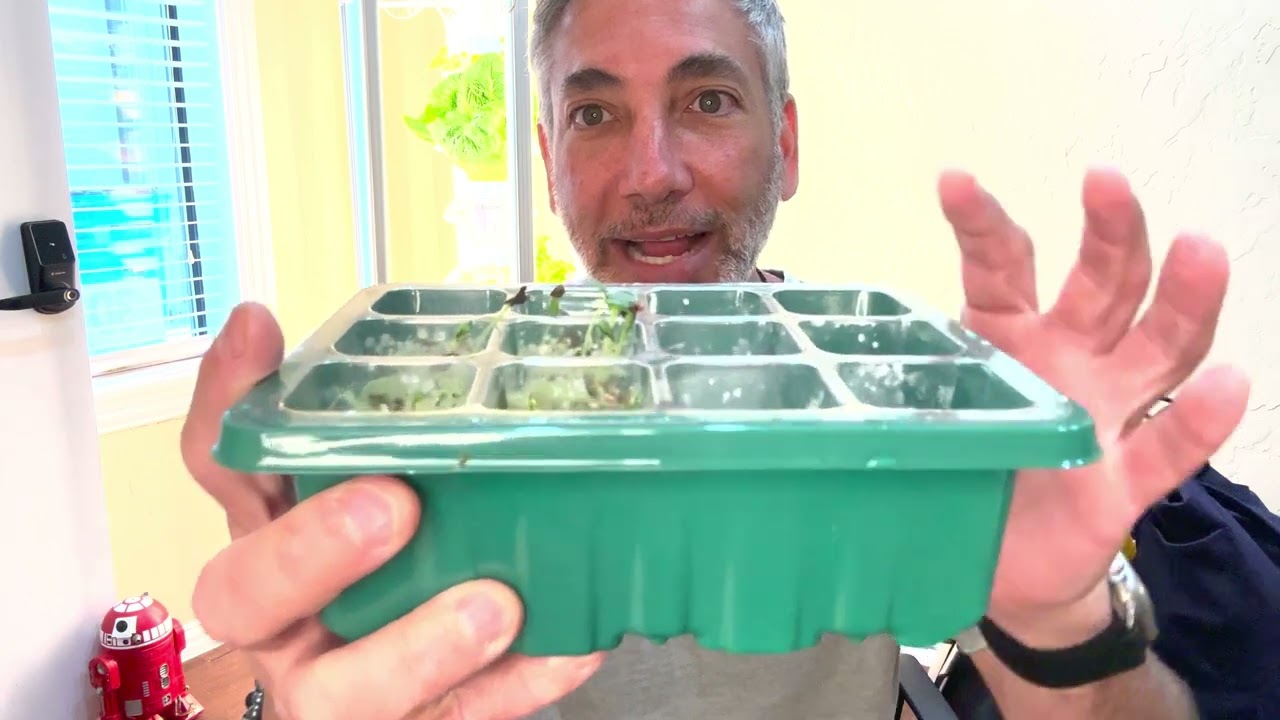 BIOMAND 1 5” Rockwool Starter Plugs Review & Unboxing