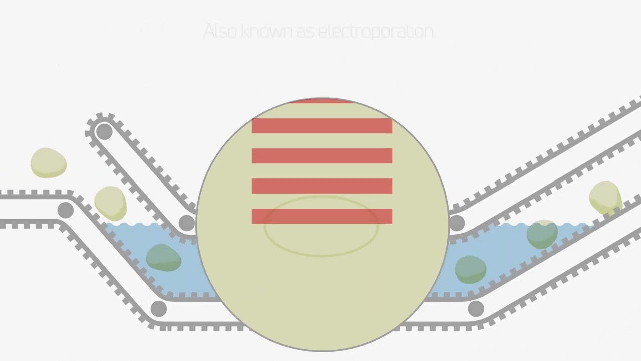 PEF (Pulsed Electric Field) technology in potato processing - OPTICEPT®