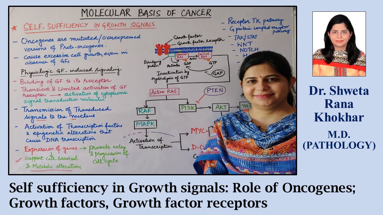 Self sufficiency in Growth signals-1: Role of Oncogenes; Growth factors, Growth factor receptors